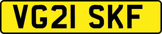 VG21SKF