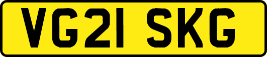 VG21SKG