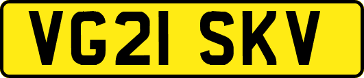 VG21SKV