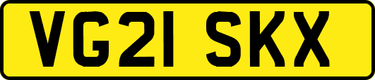 VG21SKX