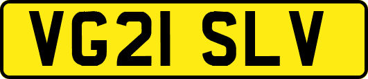 VG21SLV