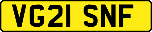 VG21SNF