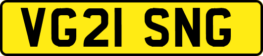 VG21SNG