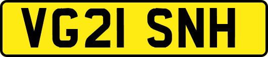 VG21SNH