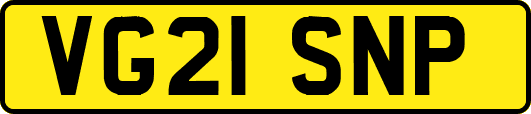 VG21SNP