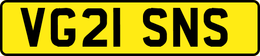 VG21SNS
