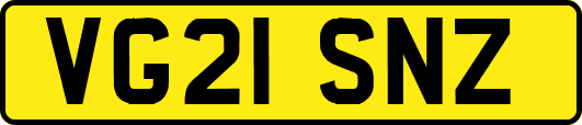 VG21SNZ