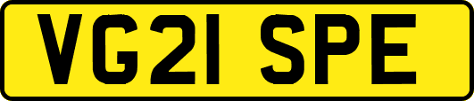 VG21SPE