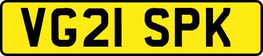 VG21SPK