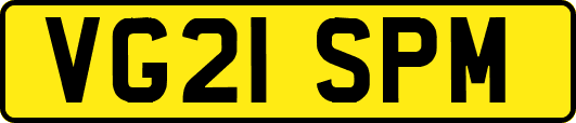 VG21SPM