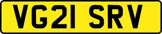 VG21SRV