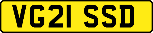 VG21SSD