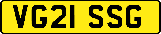 VG21SSG