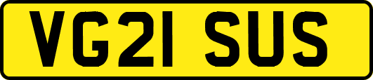VG21SUS