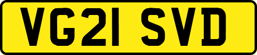 VG21SVD