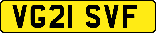 VG21SVF