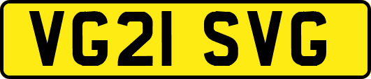 VG21SVG