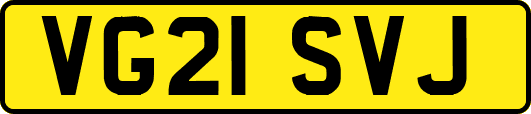 VG21SVJ