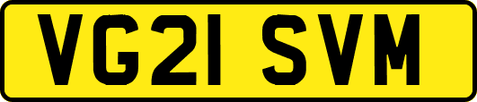 VG21SVM