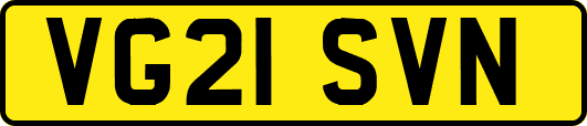 VG21SVN