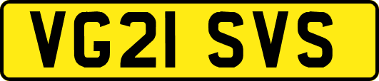 VG21SVS