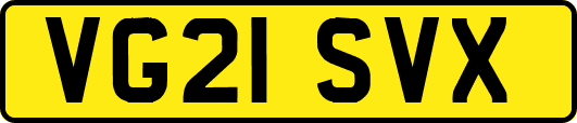 VG21SVX