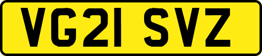 VG21SVZ