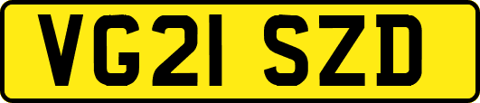 VG21SZD
