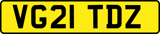 VG21TDZ