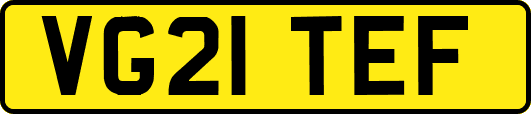 VG21TEF