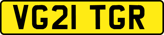VG21TGR