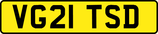 VG21TSD