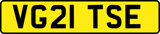 VG21TSE