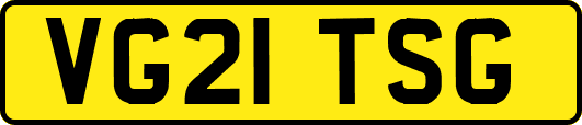 VG21TSG