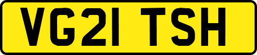 VG21TSH
