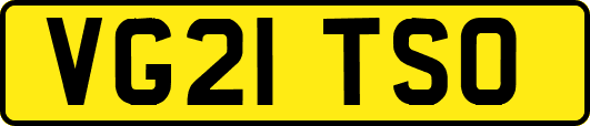 VG21TSO