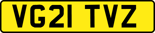 VG21TVZ