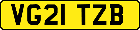 VG21TZB