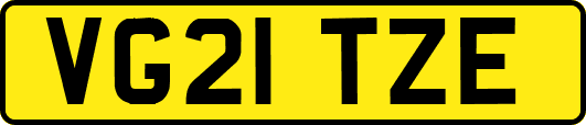 VG21TZE