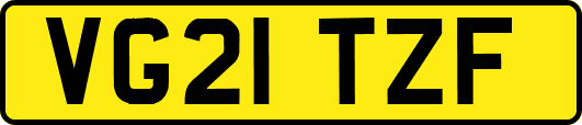 VG21TZF