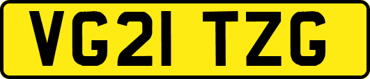 VG21TZG