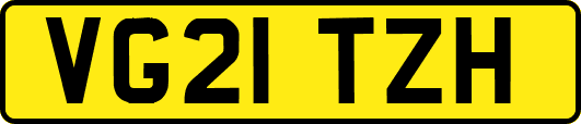 VG21TZH
