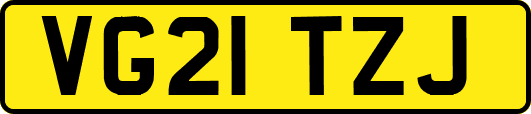 VG21TZJ