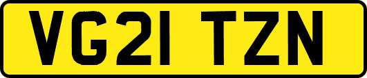 VG21TZN