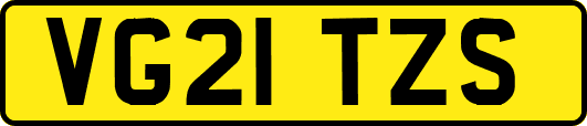 VG21TZS