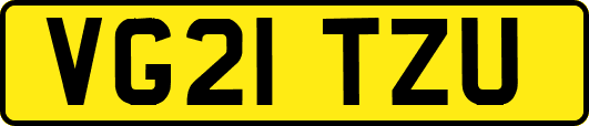 VG21TZU