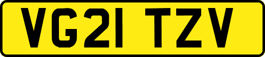 VG21TZV