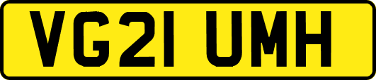 VG21UMH
