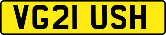 VG21USH