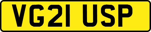 VG21USP